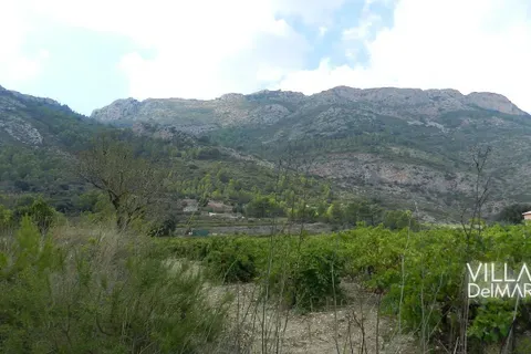 Terra a Jalon, Alicante, Jalon - € 375.000 | Ref: P-602 - foto 2