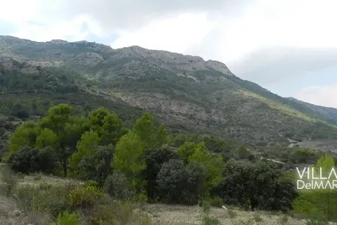 Terra a Jalon, Alicante, Jalon - € 375.000 | Ref: P-602 - foto 19