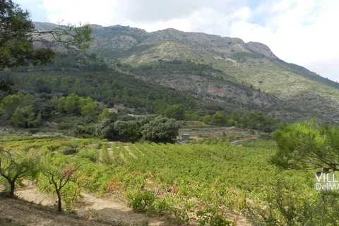 Terra a Jalon, Alicante, Jalon - € 375.000 | Ref: P-602 - foto 5
