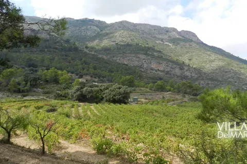 Terra a Jalon, Alicante, Jalon - € 375.000 | Ref: P-602 - foto 3