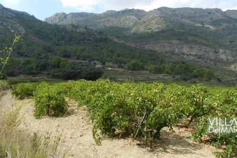 Terra a Jalon, Alicante, Jalon - € 375.000 | Ref: P-602 - foto 21