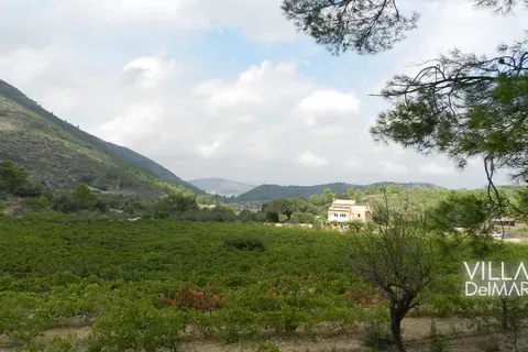Terra a Jalon, Alicante, Jalon - € 375.000 | Ref: P-602 - foto 4