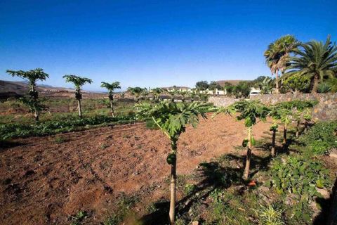 Finca i La Pared, Fuerteventura, La Pared - € 1.500.000 | Ref: C0376 - foto 15