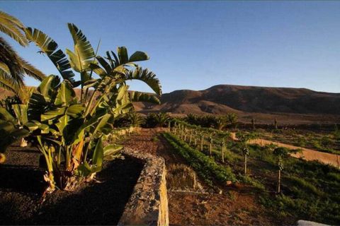 Finca i La Pared, Fuerteventura, La Pared - € 1.500.000 | Ref: C0376 - foto 28