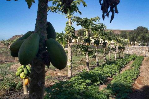 Finca i La Pared, Fuerteventura, La Pared - € 1.500.000 | Ref: C0376 - foto 16