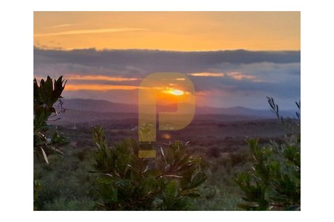 Helårsgrund i Borba, Evora, Borba - € 550.000 | Ref: PB2025454 - foto 2