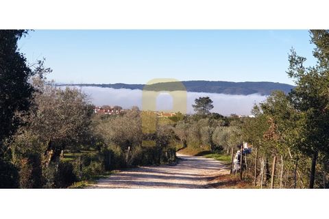 Helårsgrund i Borba, Evora, Borba - € 550.000 | Ref: PB2025454 - foto 8