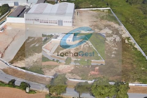 Helårsgrund i Espinho, Aveiro, Espinho - € 1.500.000 | Ref: TPARM - foto 2