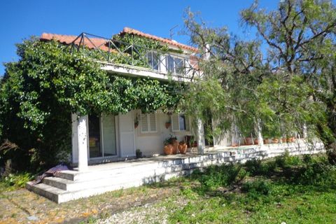 Farm i Mafra, Lisbon, Mafra - € 1.100.000 | Ref: CP-996M - foto 2