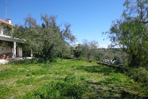 Farm i Mafra, Lisbon, Mafra - € 1.100.000 | Ref: CP-996M - foto 3