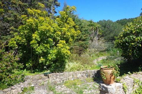Farm i Mafra, Lisbon, Mafra - € 1.100.000 | Ref: CP-996M - foto 4