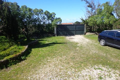 Farm i Mafra, Lisbon, Mafra - € 1.100.000 | Ref: CP-996M - foto 5