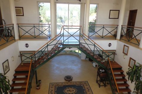 Farm i Mafra, Lisbon, Mafra - € 1.100.000 | Ref: CP-996M - foto 9