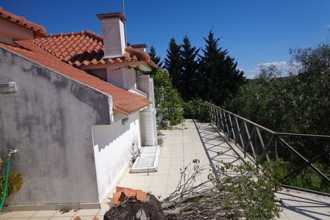 Farm i Mafra, Lisbon, Mafra - € 1.100.000 | Ref: CP-996M - foto 21
