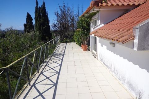 Farm i Mafra, Lisbon, Mafra - € 1.100.000 | Ref: CP-996M - foto 23