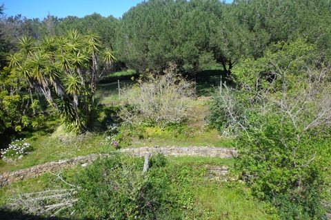 Farm i Mafra, Lisbon, Mafra - € 1.100.000 | Ref: CP-996M - foto 25
