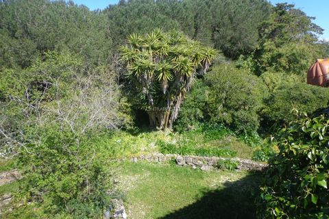 Farm i Mafra, Lisbon, Mafra - € 1.100.000 | Ref: CP-996M - foto 26