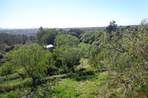 Farm i Mafra, Lisbon, Mafra - € 1.100.000 | Ref: CP-996M - foto 28
