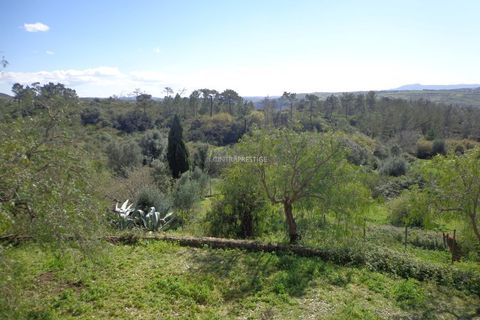 Farm i Mafra, Lisbon, Mafra - € 1.100.000 | Ref: CP-996M - foto 29