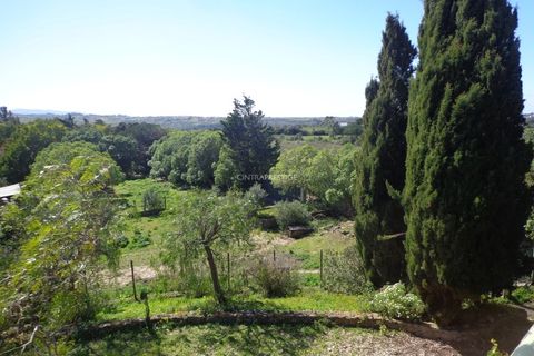 Farm i Mafra, Lisbon, Mafra - € 1.100.000 | Ref: CP-996M - foto 31