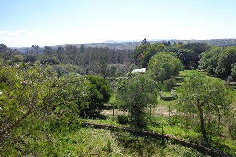 Farm i Mafra, Lisbon, Mafra - € 1.100.000 | Ref: CP-996M - foto 32