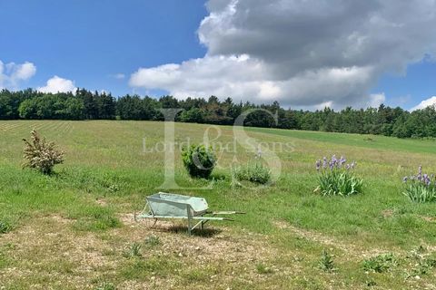 Farm hus i Sault, Vaucluse, Sault - € 1.730.000 | Ref: 2548 - foto 17