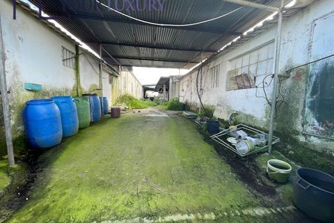 Helårsgrund i Alenquer, Lisbon, Alenquer - € 59.900 | Ref: YL988 - foto 5