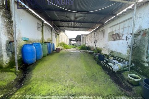 Helårsgrund i Alenquer, Lisbon, Alenquer - € 59.900 | Ref: YL988 - foto 6