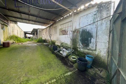 Helårsgrund i Alenquer, Lisbon, Alenquer - € 59.900 | Ref: YL988 - foto 8