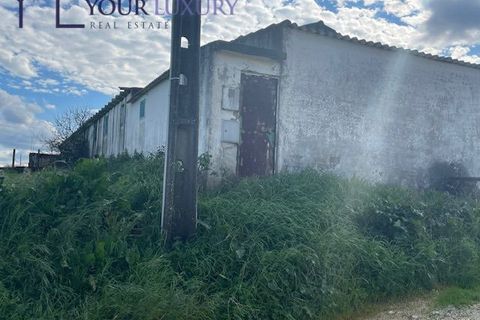 Helårsgrund i Alenquer, Lisbon, Alenquer - € 59.900 | Ref: YL988 - foto 10