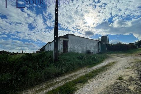 Helårsgrund i Alenquer, Lisbon, Alenquer - € 59.900 | Ref: YL988 - foto 11
