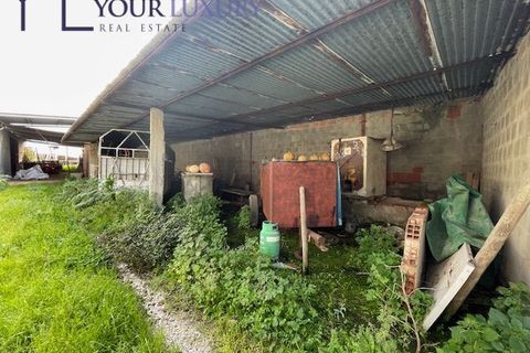 Helårsgrund i Alenquer, Lisbon, Alenquer - € 59.900 | Ref: YL988 - foto 14