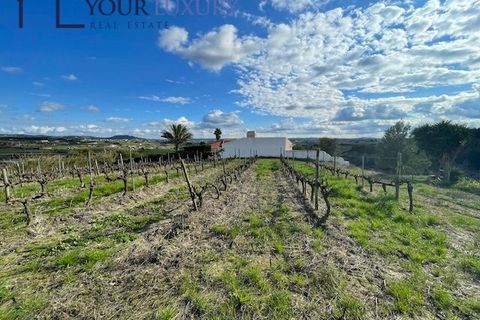 Helårsgrund i Alenquer, Lisbon, Alenquer - € 69.900 | Ref: YL989 - foto 1