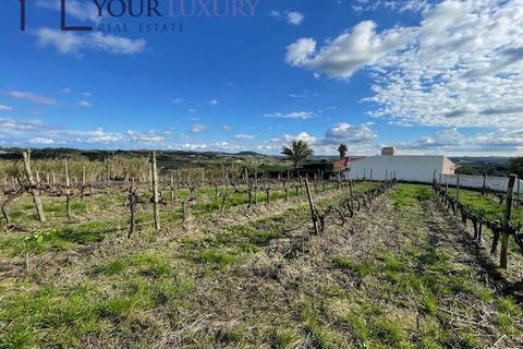 Helårsgrund i Alenquer, Lisbon, Alenquer - € 69.900 | Ref: YL989 - foto 2