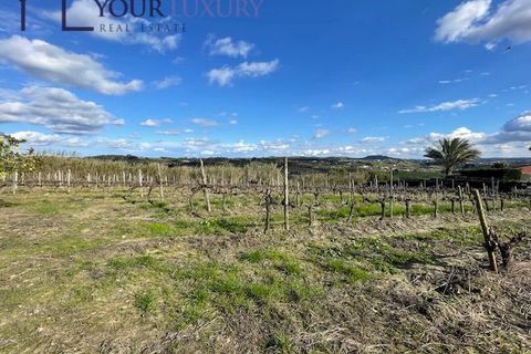 Helårsgrund i Alenquer, Lisbon, Alenquer - € 69.900 | Ref: YL989 - foto 3