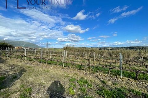 Helårsgrund i Alenquer, Lisbon, Alenquer - € 69.900 | Ref: YL989 - foto 5