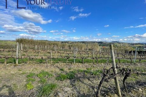 Helårsgrund i Alenquer, Lisbon, Alenquer - € 69.900 | Ref: YL989 - foto 6