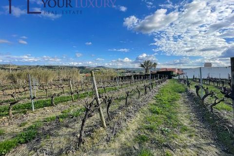 Helårsgrund i Alenquer, Lisbon, Alenquer - € 69.900 | Ref: YL989 - foto 7