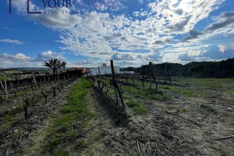 Helårsgrund i Alenquer, Lisbon, Alenquer - € 69.900 | Ref: YL989 - foto 9