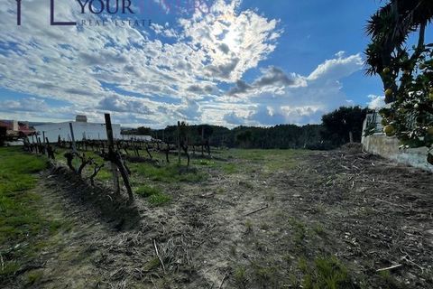 Helårsgrund i Alenquer, Lisbon, Alenquer - € 69.900 | Ref: YL989 - foto 10