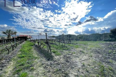 Helårsgrund i Alenquer, Lisbon, Alenquer - € 69.900 | Ref: YL989 - foto 11