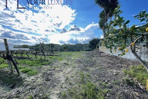 Helårsgrund i Alenquer, Lisbon, Alenquer - € 69.900 | Ref: YL989 - foto 12