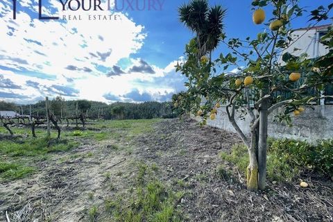 Helårsgrund i Alenquer, Lisbon, Alenquer - € 69.900 | Ref: YL989 - foto 13
