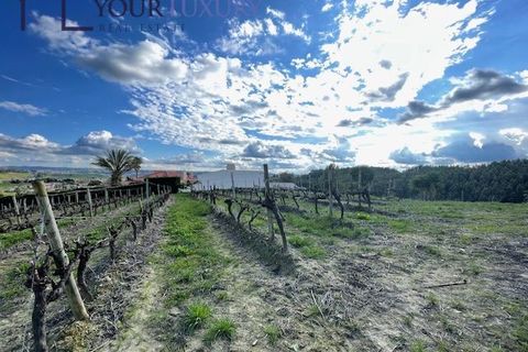 Helårsgrund i Alenquer, Lisbon, Alenquer - € 69.900 | Ref: YL989 - foto 14