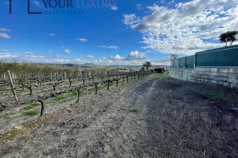 Helårsgrund i Alenquer, Lisbon, Alenquer - € 69.900 | Ref: YL989 - foto 17