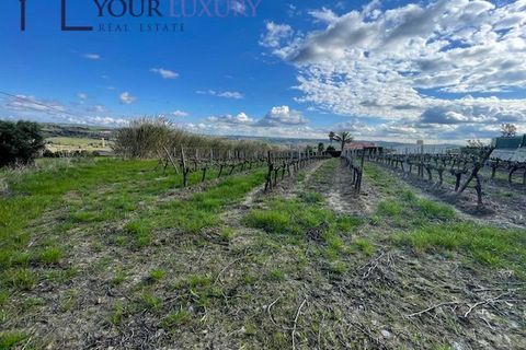 Helårsgrund i Alenquer, Lisbon, Alenquer - € 69.900 | Ref: YL989 - foto 18