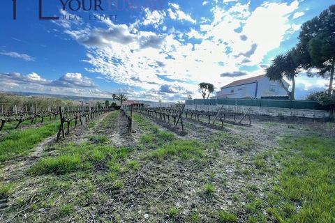 Helårsgrund i Alenquer, Lisbon, Alenquer - € 69.900 | Ref: YL989 - foto 20