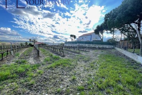 Helårsgrund i Alenquer, Lisbon, Alenquer - € 69.900 | Ref: YL989 - foto 21