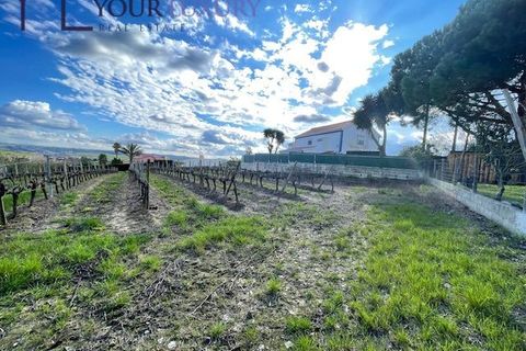 Helårsgrund i Alenquer, Lisbon, Alenquer - € 69.900 | Ref: YL989 - foto 25