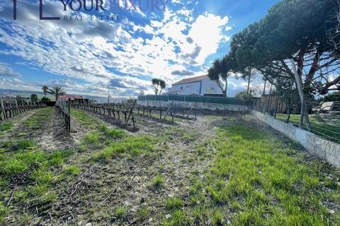 Helårsgrund i Alenquer, Lisbon, Alenquer - € 69.900 | Ref: YL989 - foto 26